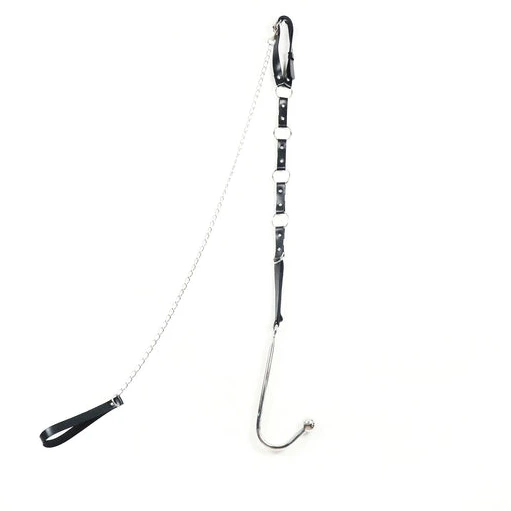 5853 Hook EverydayUse and with Anal Kinky Collar Leash 0614